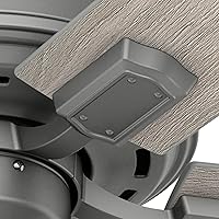 Vista 9 de Hunter Fan Company 19023 Cranbrook - Lámpara empotrada