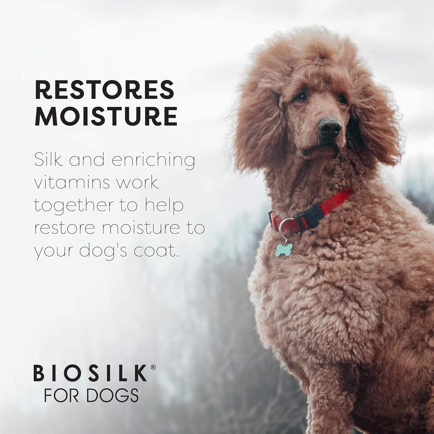 BioSilk Silk Therapy Conditioning Detangling Spray for Dogs with Natural Coconut Oil, Leave-in Detangler and Conditioner, Dematting Grooming Spray, Sulfate Free, 7 Fl Oz - 2 Pack