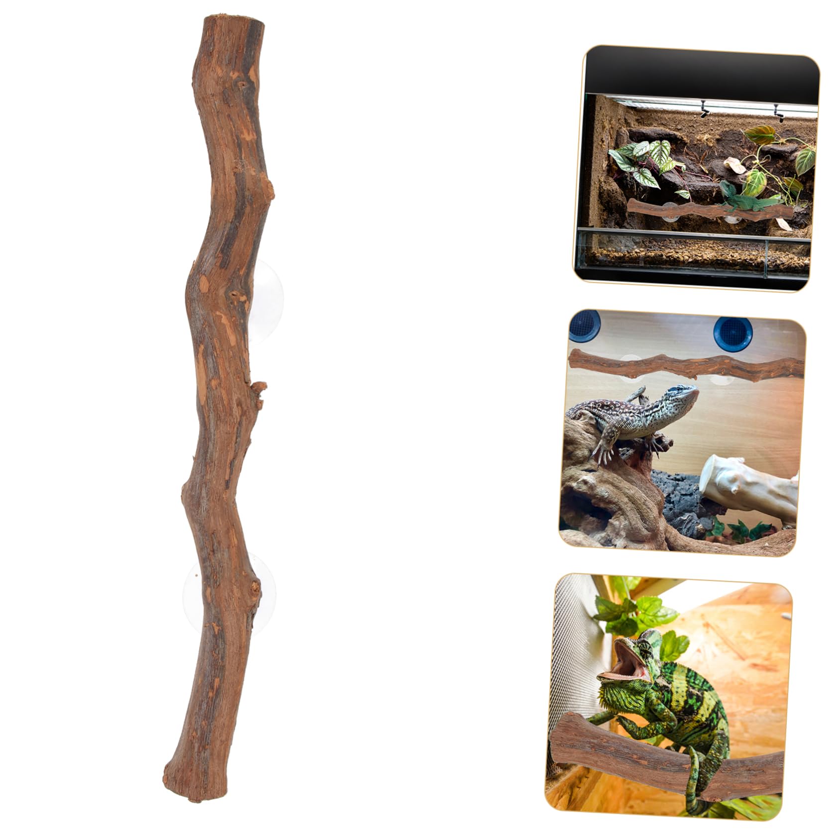 3 Pz Supporto in Legno D'uva Camaleonte Accessori Per Rettili Giocattoli Accessori Camaleontici Rami Per Lucertole Viti Ramo Di Geco Crestato Coniglio Anfibio Kit Di Legno