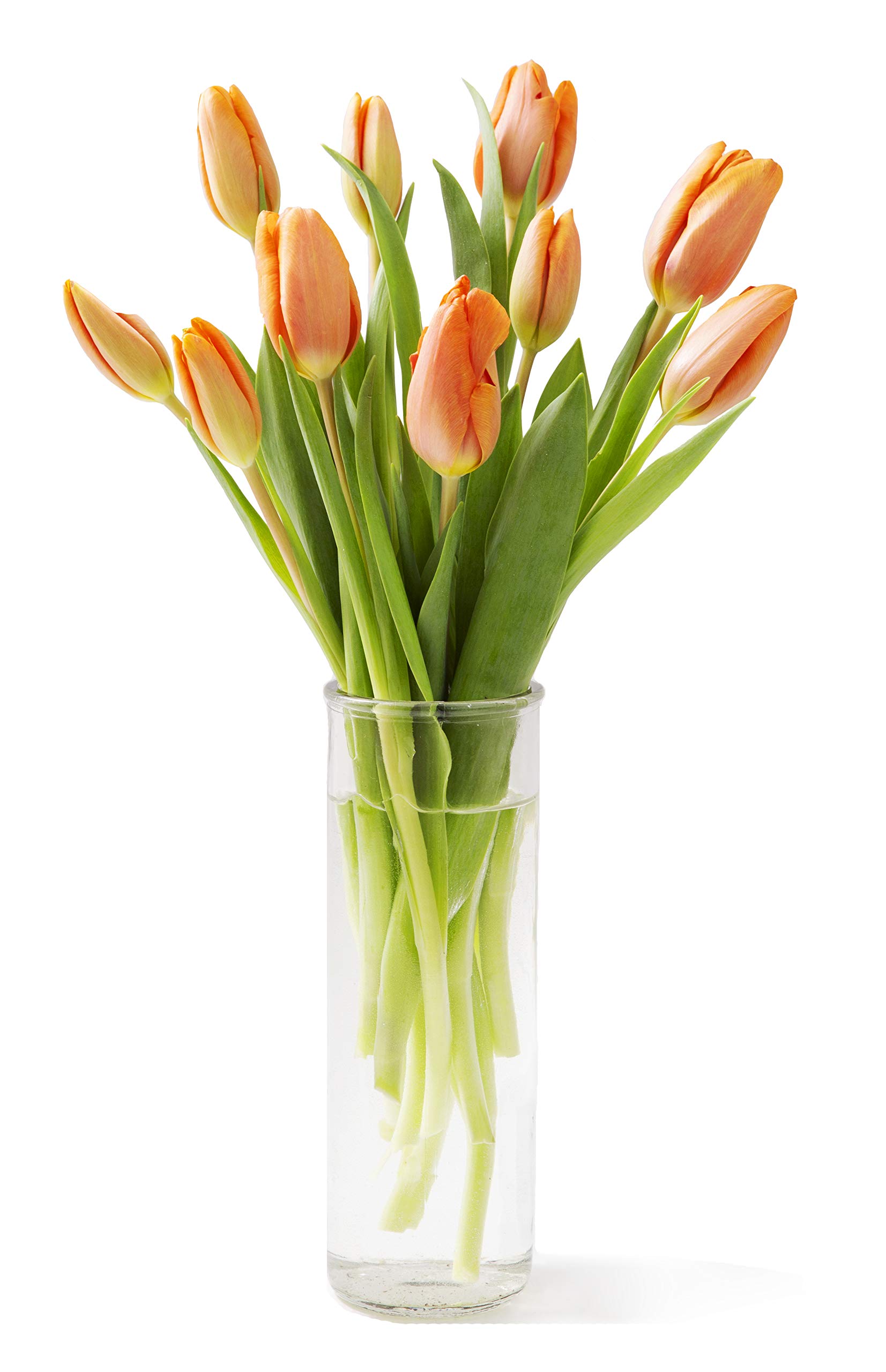 KaBloom PRIME NEXT DAY DELIVERY - Fall Collection - Bouquet of Fresh Orange Tulips with Vase (Farm-Fresh, Cut-to-Order and Homegrown in the USA). Gift for Birthday,Valentine,Mother’s Day Fresh Flowers