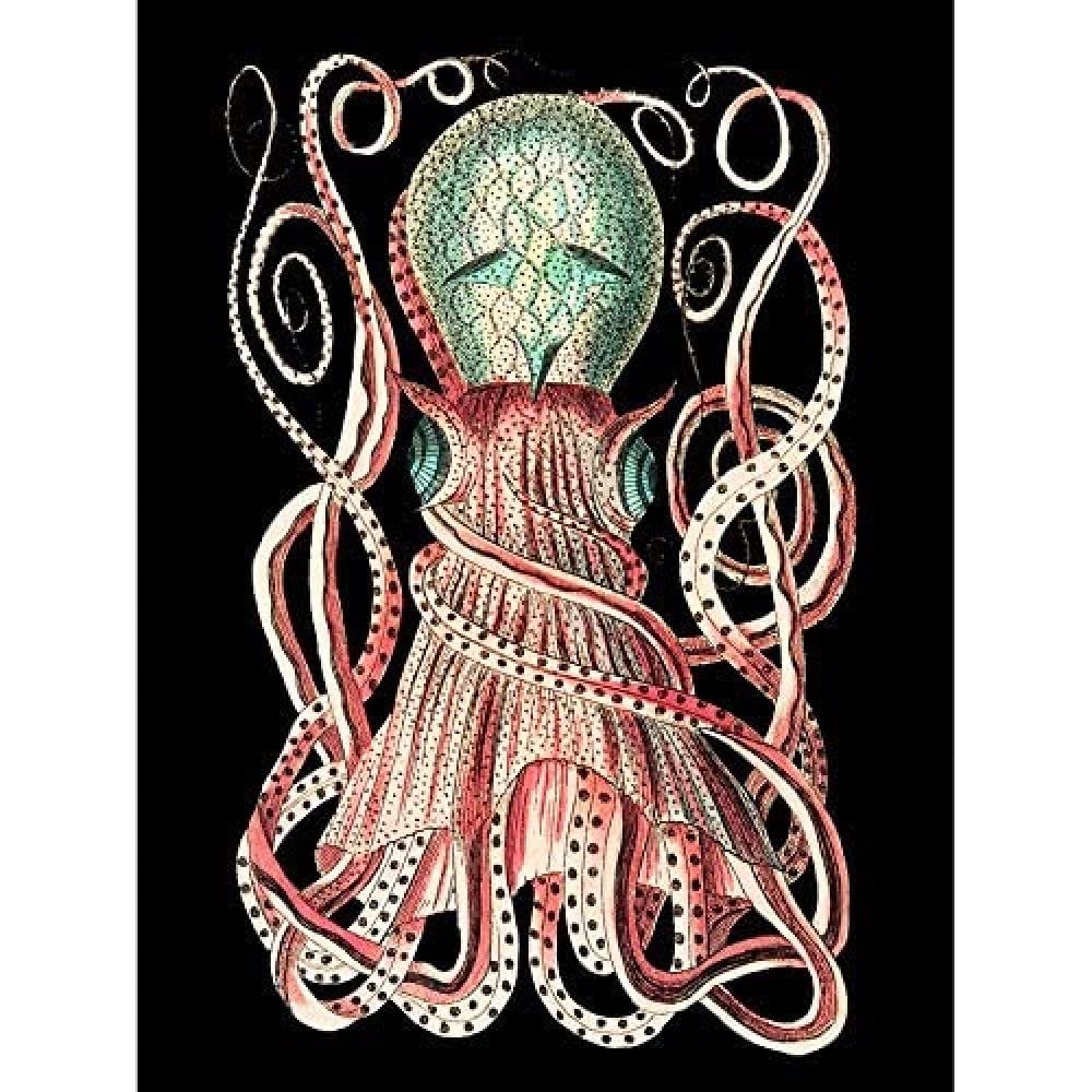 Wee Blue Coo Granulated Cuttle Octopus Black Unframed Art Print Poster Wall Decor 12x16 inch