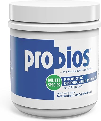 Probios Digestive Support Probiotic for Dogs, Horses, Cats, Gut Health Powder for All Species, Daily Supplement for Digestion Immune Support, 240 Grams