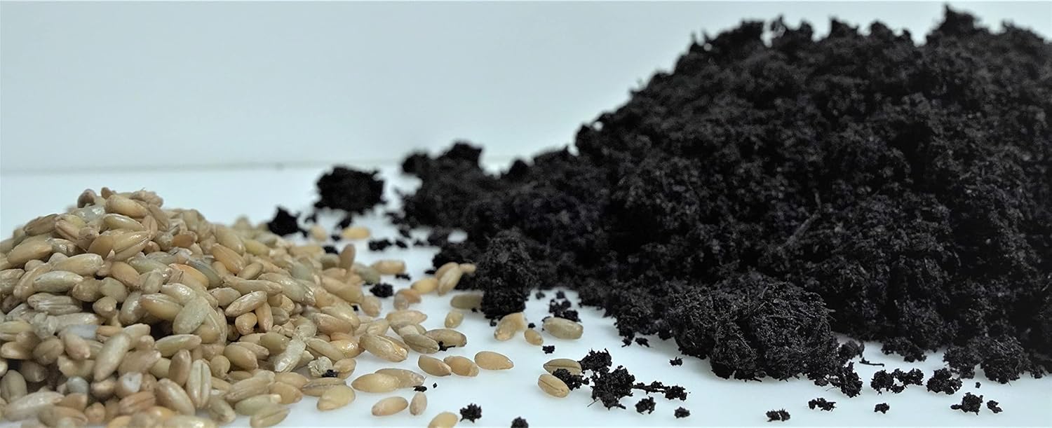 6 Pound Mushroom Grow Bag - All in One Grow Kit in A Bag - Sterilized Grain Spawn and Bulk Substrate - Injector Port - (Pack of 1)