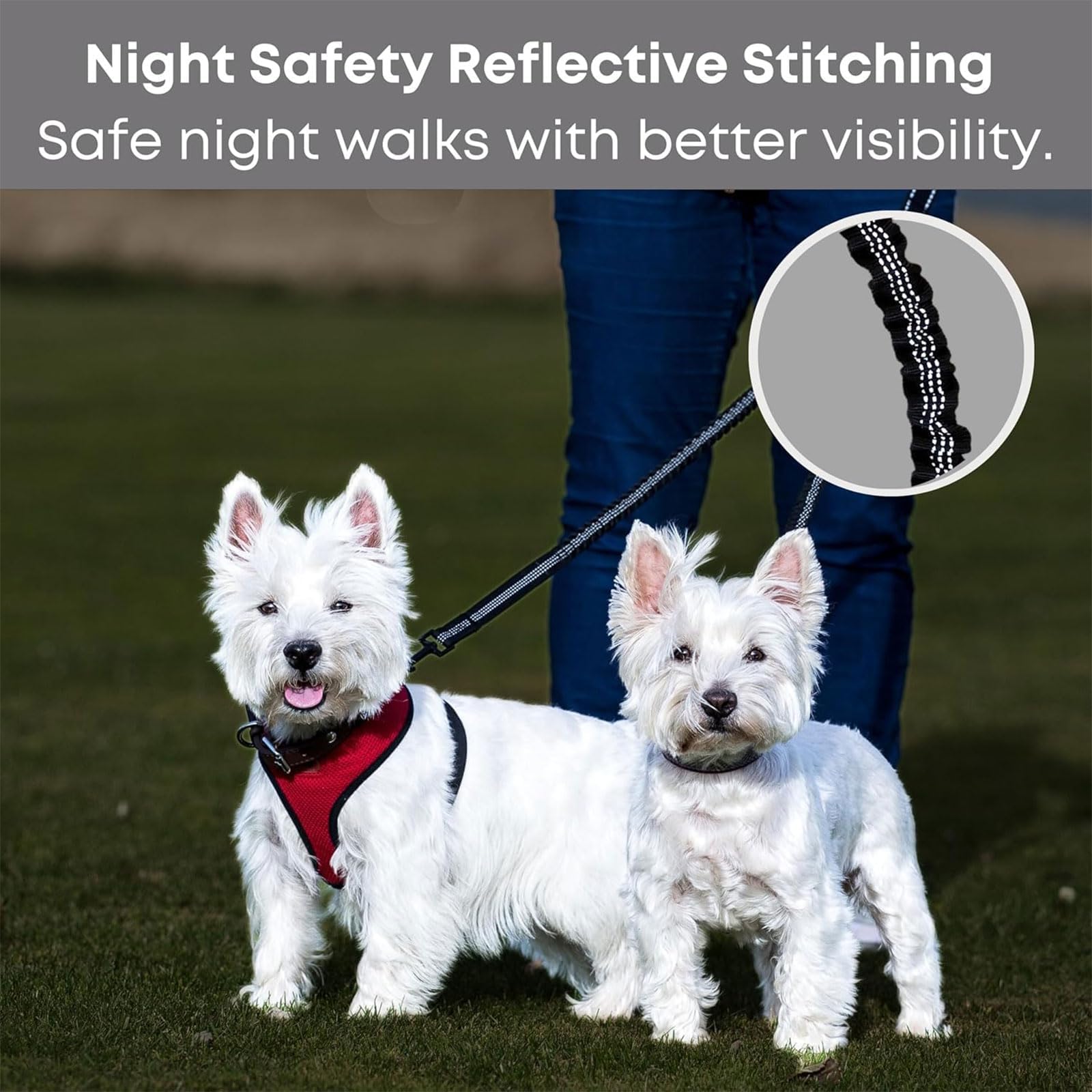 Double Dog Lead for Walking 2 Dogs No Tangle, Double Lead for 2 Dogs No Tangle, Dog Lead Splitter 2 Way for Small Medium - Image 4