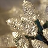 Pinecone LED Christmas Lights Warm White Fun Party Lights, Patio Lights String, LED Garden Christmas Lights, Holiday Christmas Tree Lights, LED Lights Party Christmas (1 Pack of 25 Pinecone Lights)