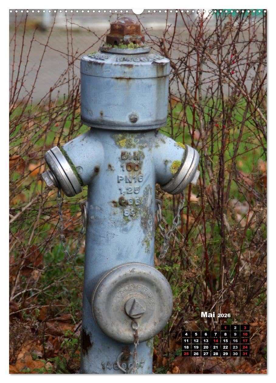 Nostalgie Hydranten (hochwertiger Premium Wandkalender 2026 DIN A2 hoch), Kunstdruck in Hochglanz: Hydranten am Straßenrand (CALVENDO Technologie)
