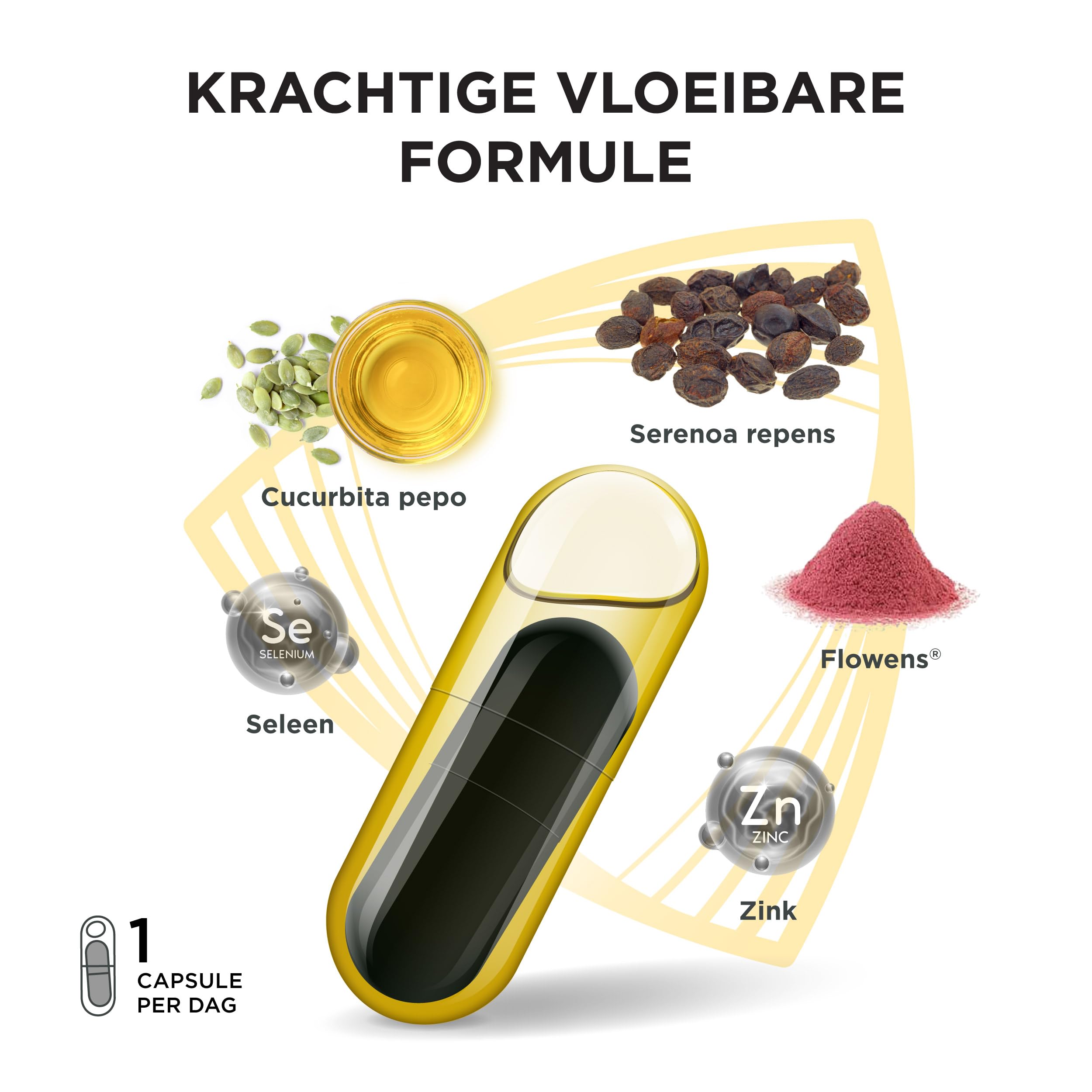 Innovation für gesunde Prostata Leistungsstarke flüssige Formel mit dreifacher Wirkung. Cucurbita pepo, Serenoa repens, Flowens®. 1 Kappen/Tag (20 Portionen)