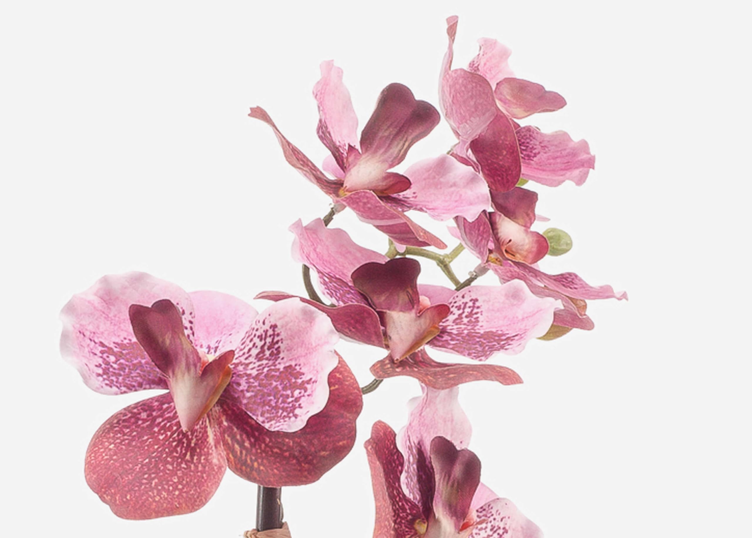artplants.de Fleur Artificielle Orchidée Vanda Campo, 60cm | Rose-Rose Fuchsia - Fleur synthétique/Fausse orchidée