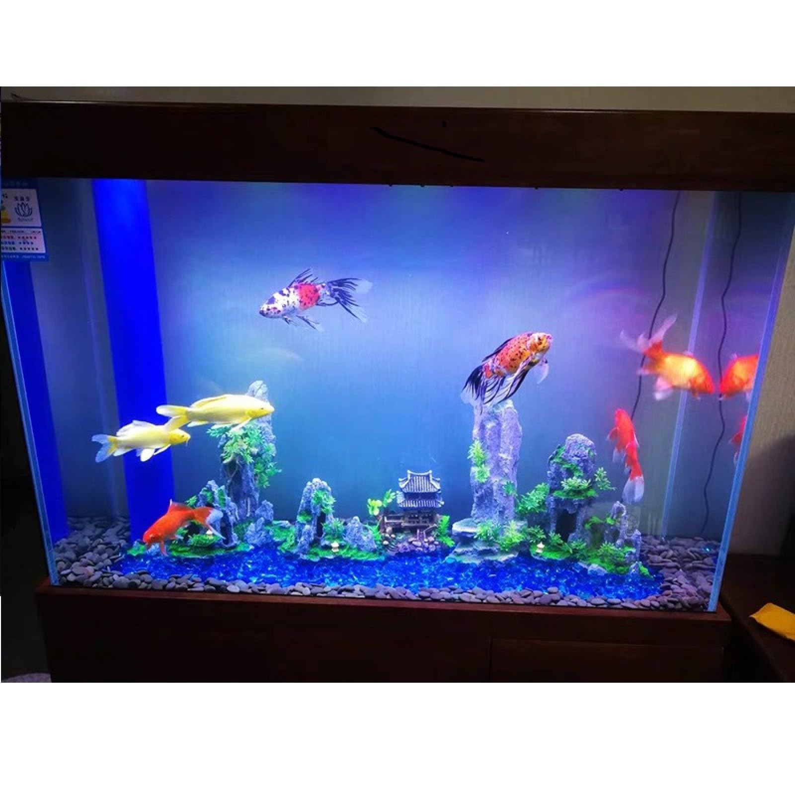 1 pieza de planta rocalla for acuario, decoración pecera, paisajismo, accesorios decorativos for 047(43)