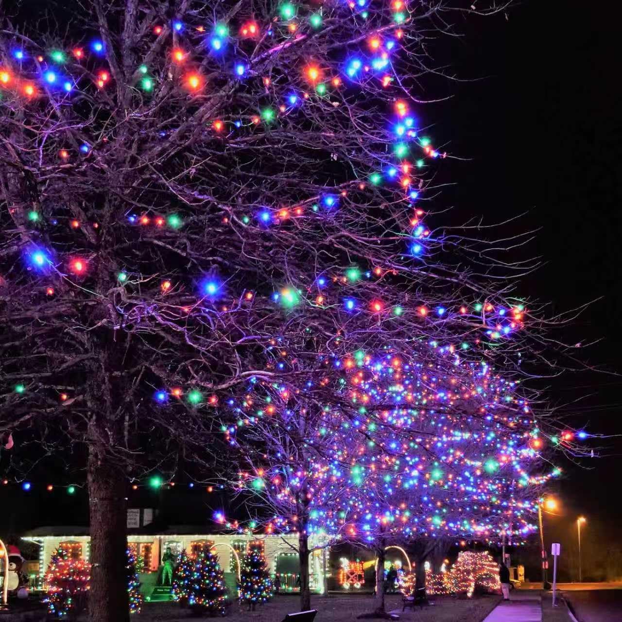 66ft Solar String Lights Outdoor Waterproof with Remote, 20mm Ovlied-Shaped LEDs with Three-Wire Hanging Design, 8 Twinkle Modes Great for Tree, Garden, Patio Decor Multicolor Fixed