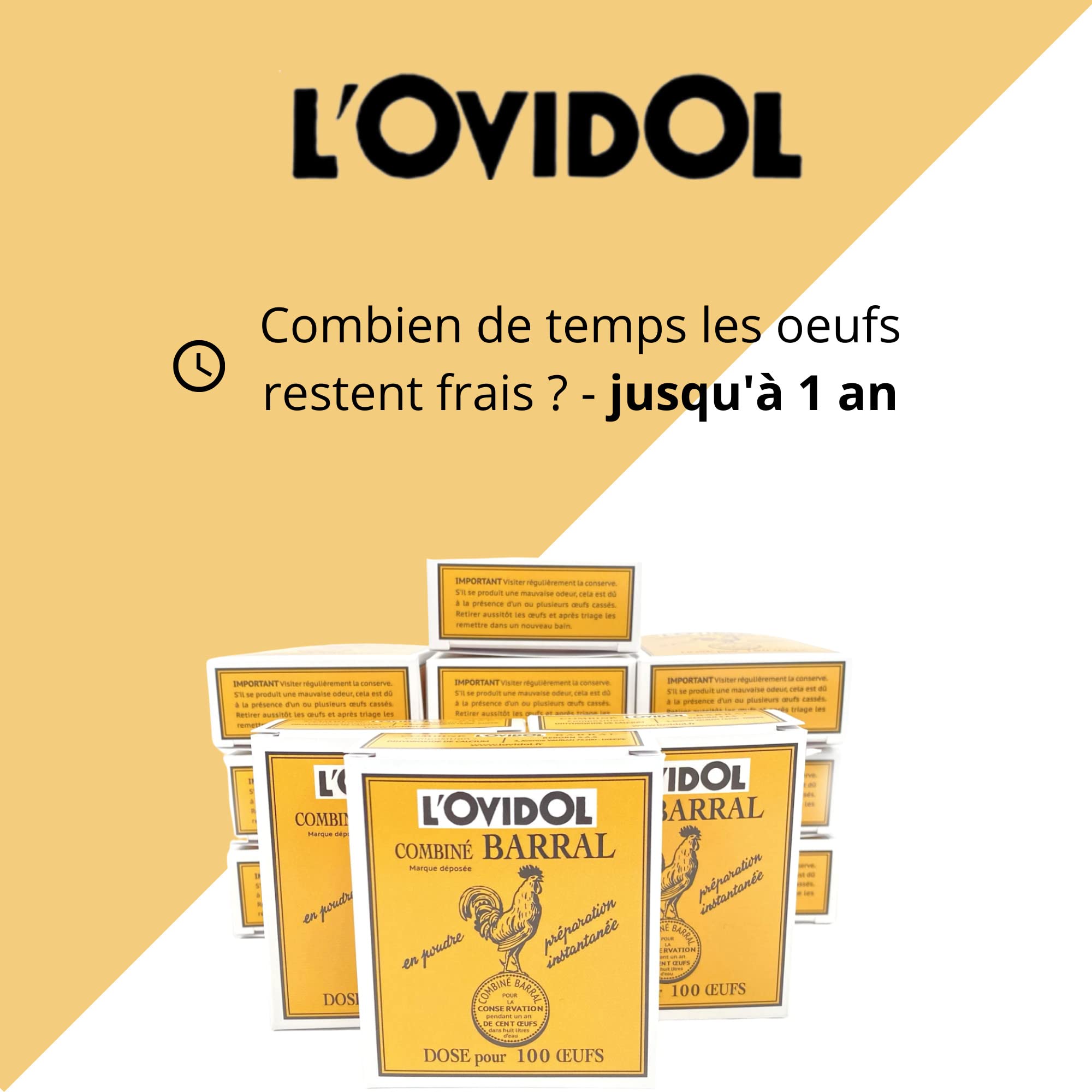 Ovidol – 100 huevos conservados hasta 1 año – Polvo para diluir – Producto patentado – Huevos comestibles después de la conservación – Gallinero – Enclos Poulailler – Made in France (5 cajas + 1