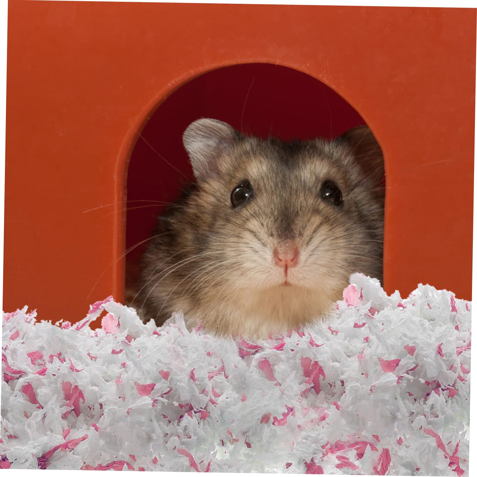 ibasenice Papierstreu für Hamster und Kleine Nagetiere Staubarm Saugfähig 1 Beutel für Käfige Hält das Gehege Sauber und Frisch