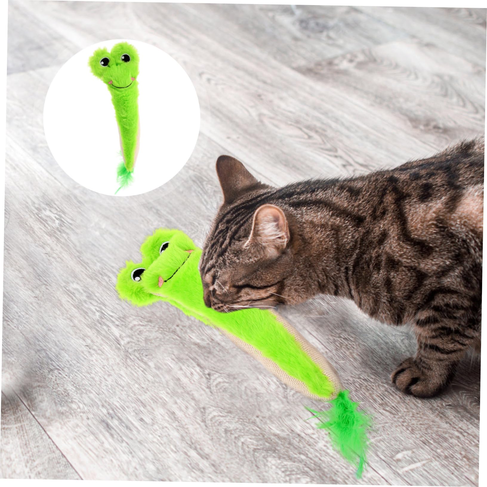 UKCOCO Jouet Chat Herbe Chat Mordre Jouet Chaton Intérieur Interactionnel Chaton Mâcher Intérieur Mâcher