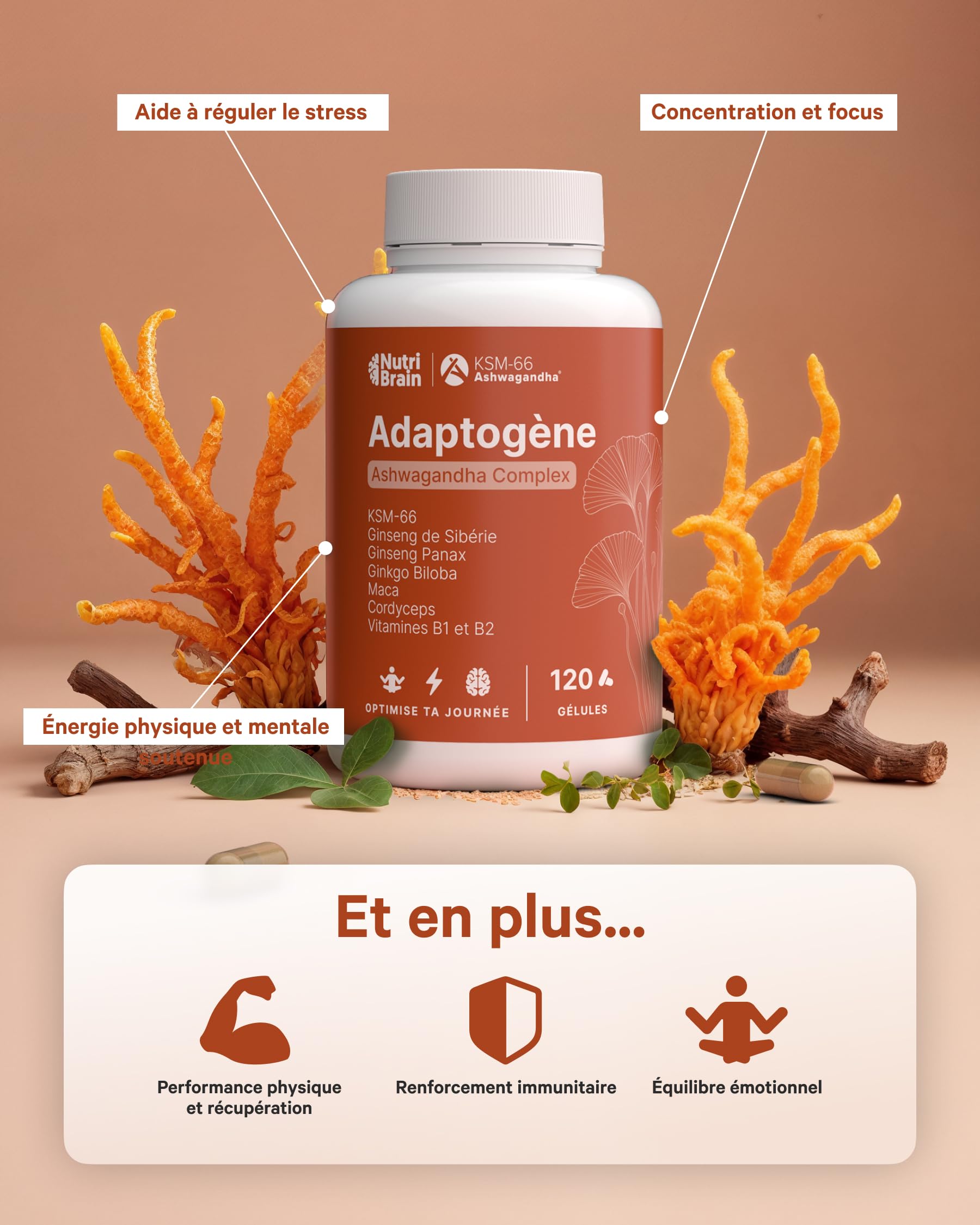 Ashwagandha Complex avec KSM-66, Ginseng, Ginkgo Biloba, Maca, Cordyceps, Vitamines B1-B2 | Adaptogène Anti-stress, Équilibre, Énergie, Performance | 120 Gélules | Végan, Sans OGM, Sans Gluten