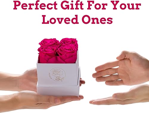 Miniatura 4 de DuHouse 4 unidades de rosas preservadas de flores eternas preservadas para regalo de San Valentín, cumpleaños, Acción de Gracias (rosa intenso)