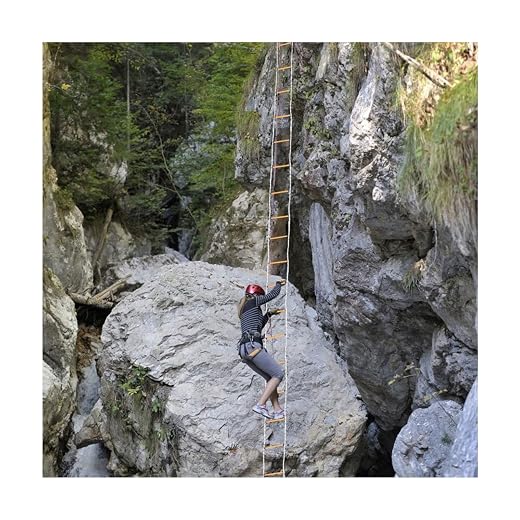 Rescue Ladder,Safety Ladder Fire Escape Ladder 1-6 Story Emergency Evacuation Rope Ladder Climbing Engineeladder Flame Resistant Nylon Safety Ladder/20M