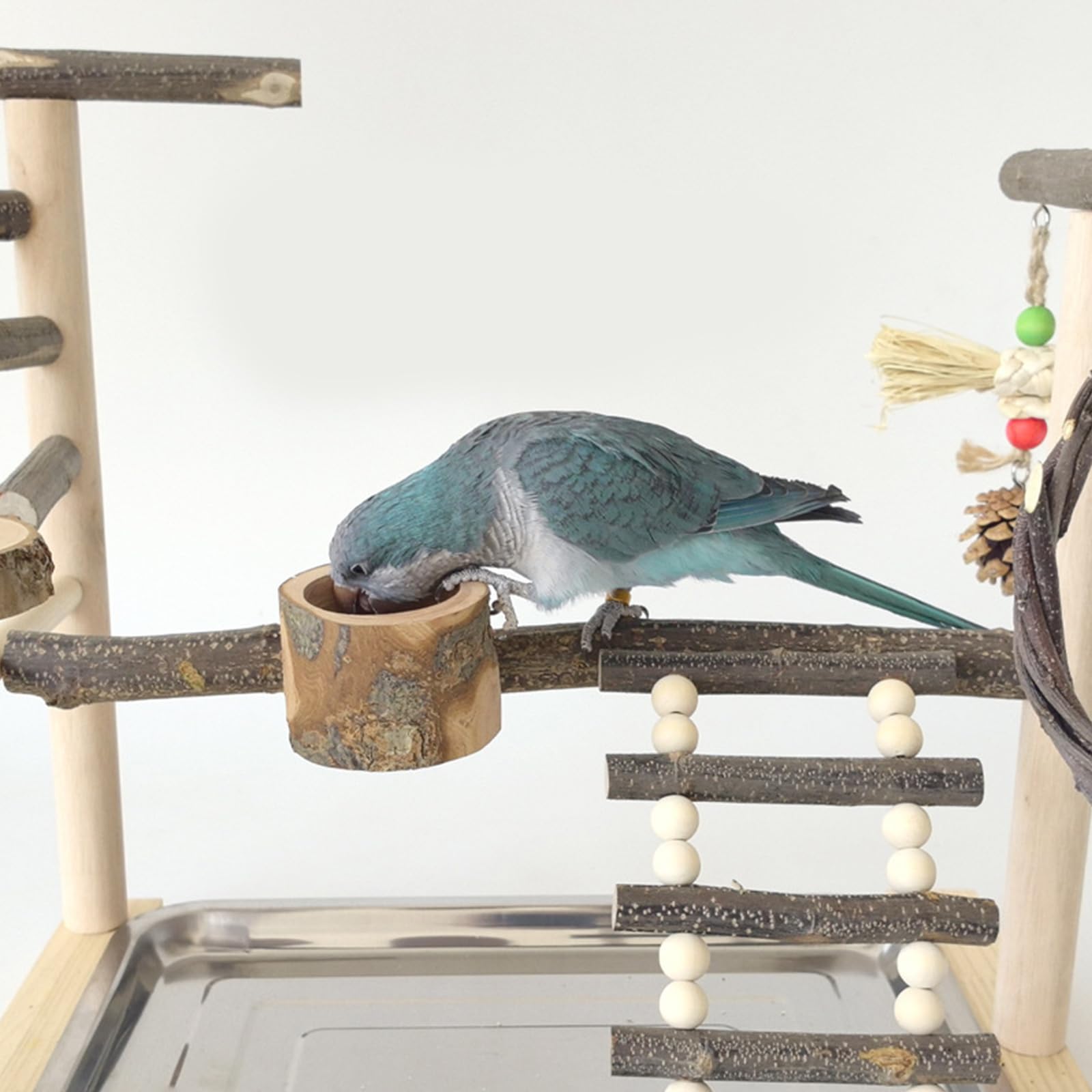 Perchoir de dressage pour oiseaux avec mangeoires pour perroquets de petite et grande taille