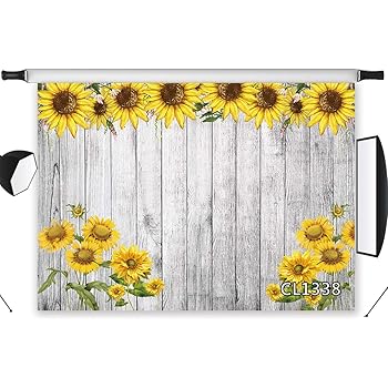 sunflower photoshoot baby