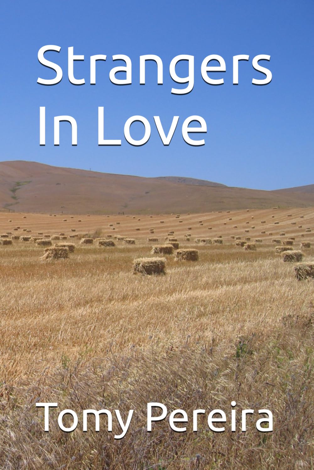 Strangers In Love