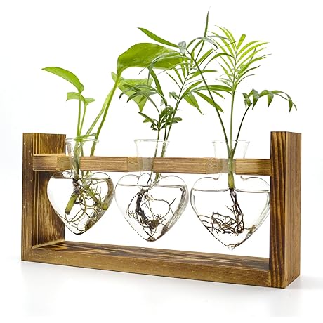 Kawaii Heart Vase: A Whimsical Touch to Your Plant Oasis