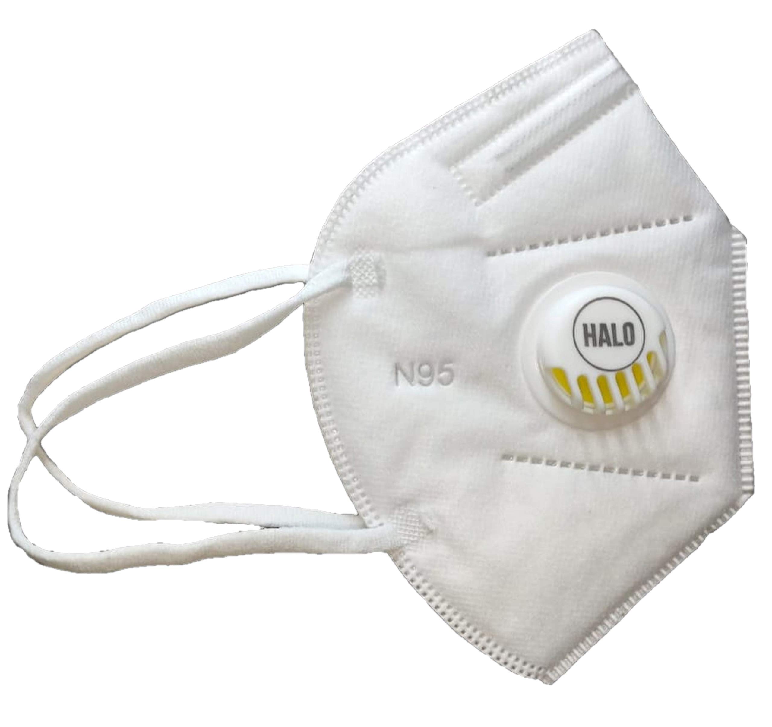 HALO N95 PP Non-Woven Fabric Anti Pollution Protection Face Mask and Respirator with 5 Layer PM 2.5 Filtration (2 Pieces) (B089GNV45N) Amazon Price History, Amazon Price Tracker
