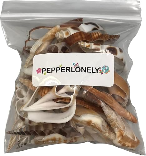 Miniatura 9 de PEPPERLONELY 30 unidades de conchas marinas mixtas de corte central de grado B, 1-14 pulgadas  3 pulgadas