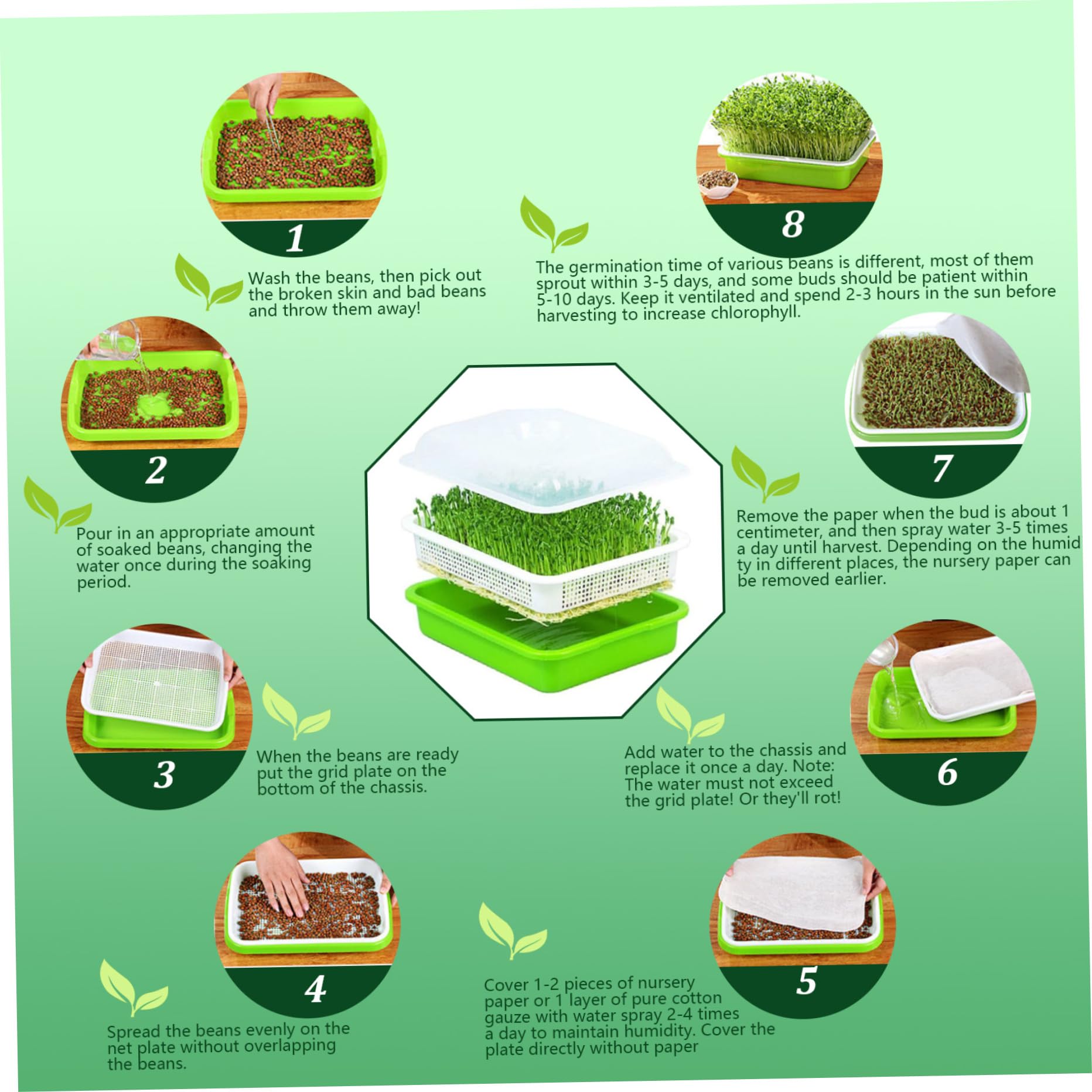 Microgreens-Anzuchtschalen, 25, 4 x 30, 5 cm, Sprossen-Anzuchtset, 11, 9 cm große Sprossenschale mit Deckel, Wiederverwendbare Samen-Starterschale für Weizengrasbohnen