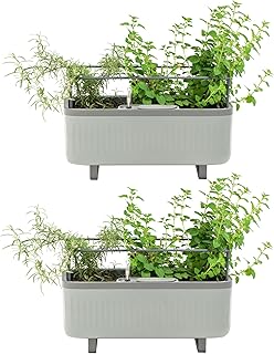 Vego garden 2 Pack Herb Indoor Plant Box, Self Watering Planters Pots fo...