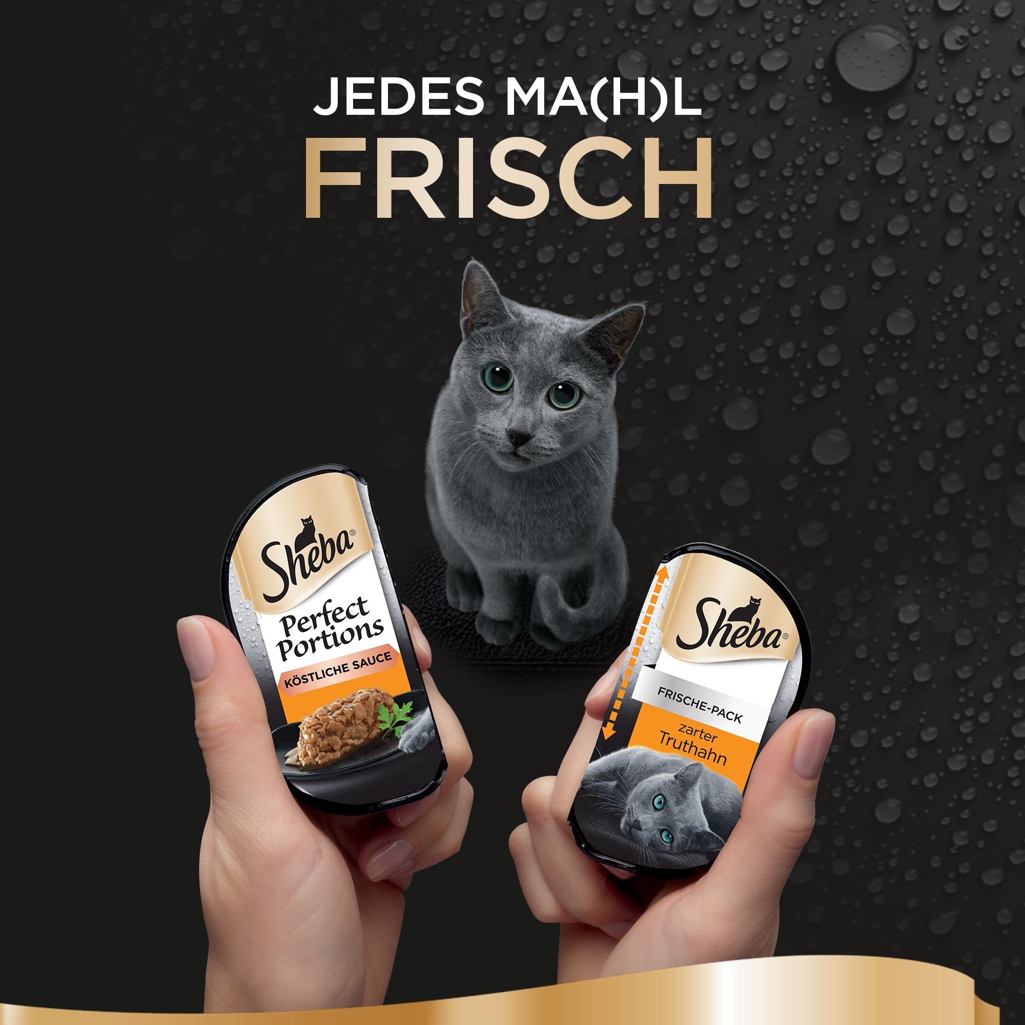 Sheba Perfect Portions - Feinstes Katzennassfutter in der Schale - köstliche Sauce mit zartem Truthahn - 32 x 75g