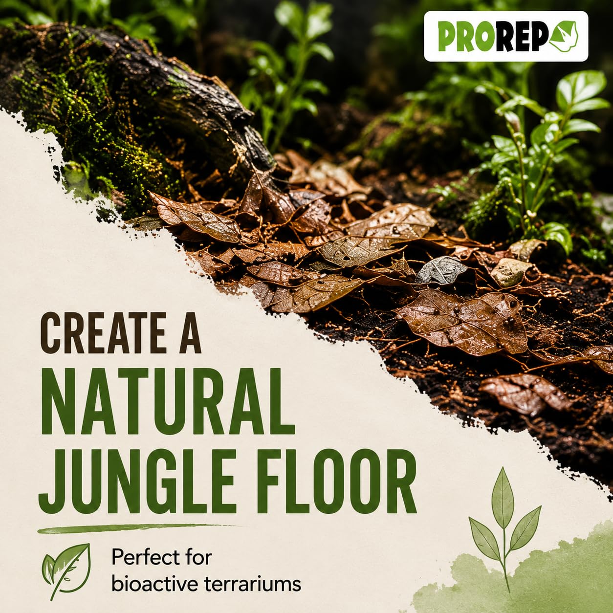 ProRep Substrat de litière pour feuilles Jungle 3 l | Substrat pour reptiles | Feuilles pour installation bioactive et isopodes