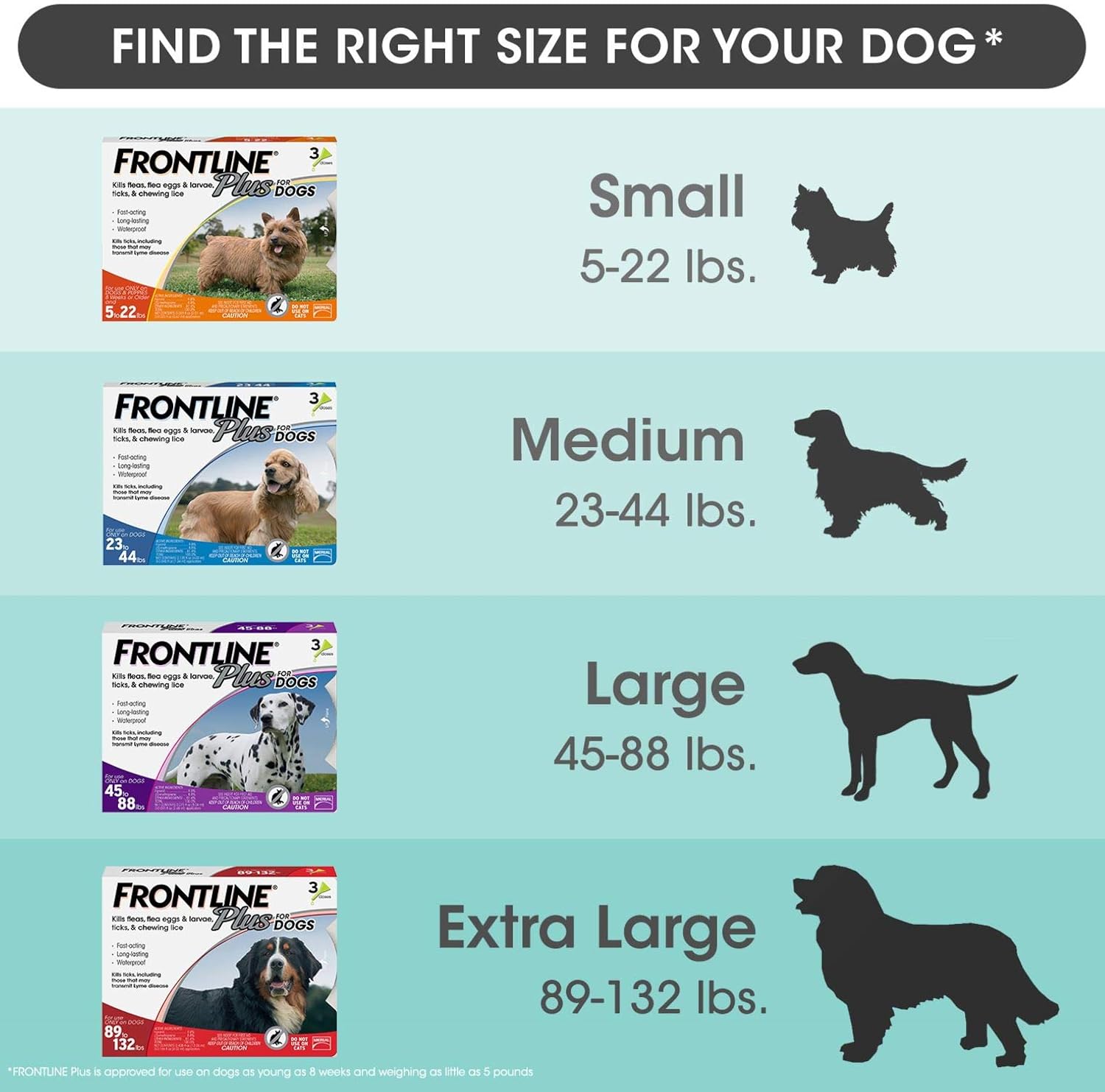 FRONTLINE Plus Flea and Tick Treatment for Dogs (Medium Dog, 23-44 Pounds, 6 Doses) : Pet Flea And Tick Repellents : Pet Supplies