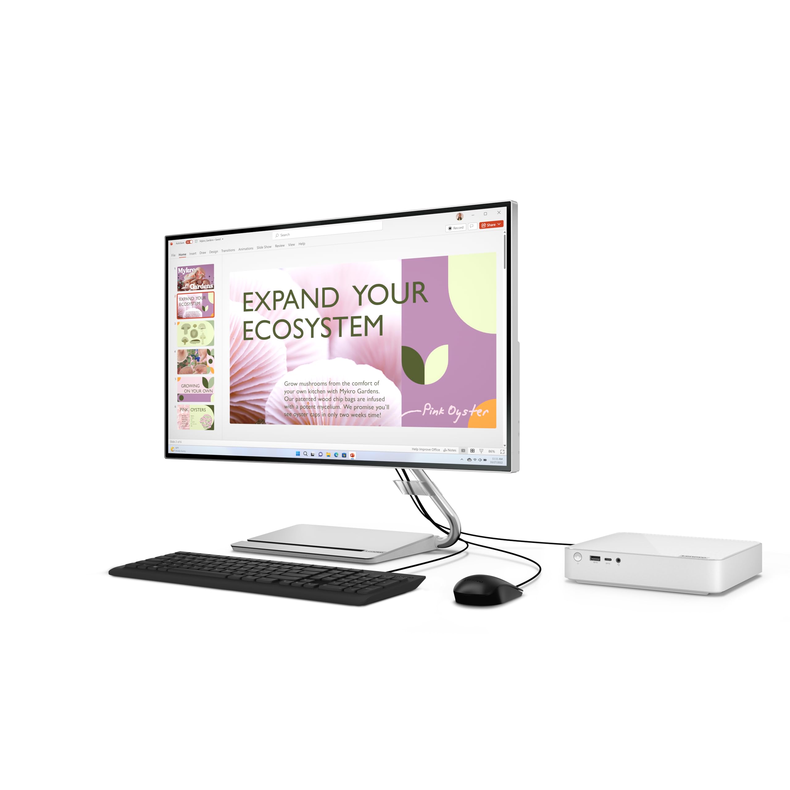 Lenovo IdeaCentre Mini 01IRH8 Ordinateur de Bureau (Intel Core i5-13420H, RAM 16Go, SSD 512Go, Graphique Intel UHD Intégrée, Windows 11 Home) - Gris