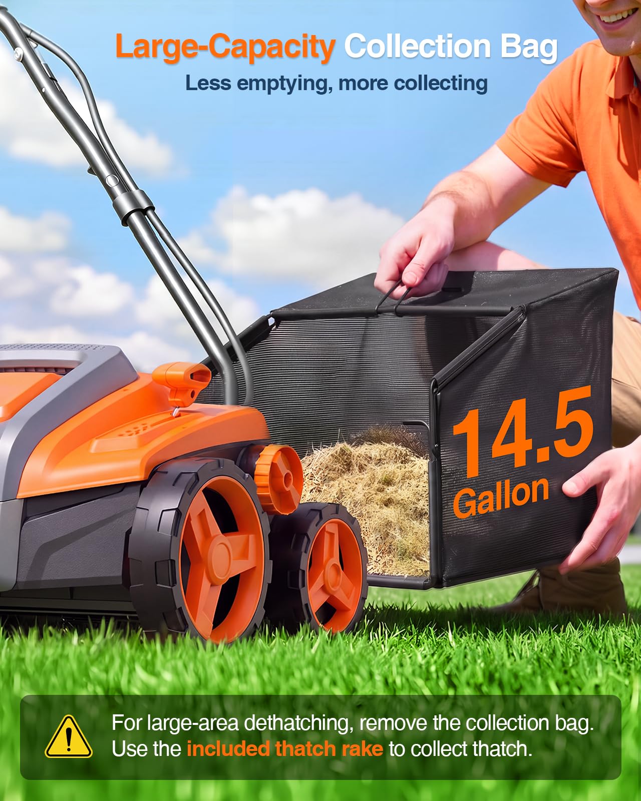 TaskStar Dethatcher - Remove Thatch & Scarify! -5 TaskStar Dethatcher - Remove Thatch & Scarify! -5