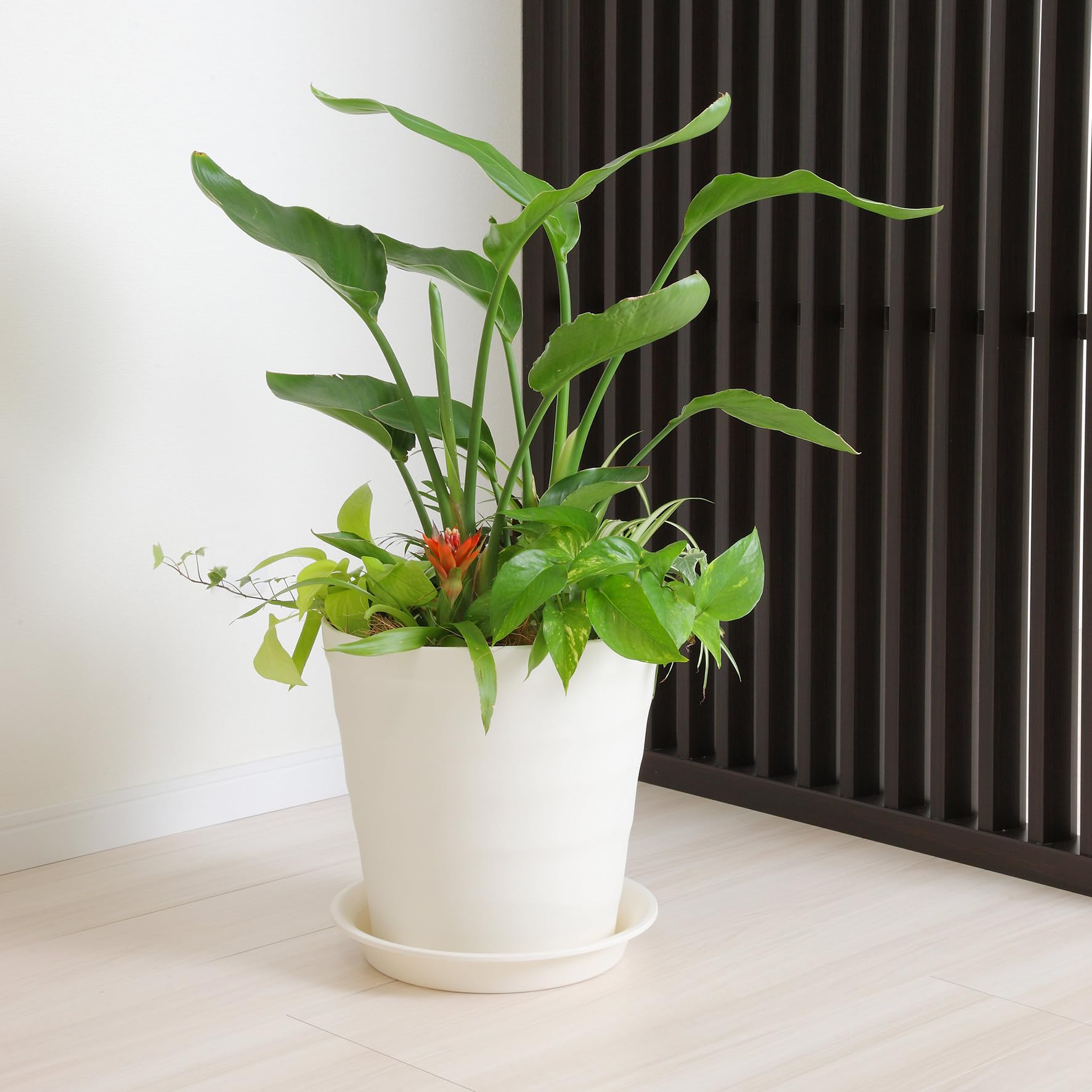 Appleware Plant Craft Pot 24 Type White Soil Capacity 6L - 9.4 x