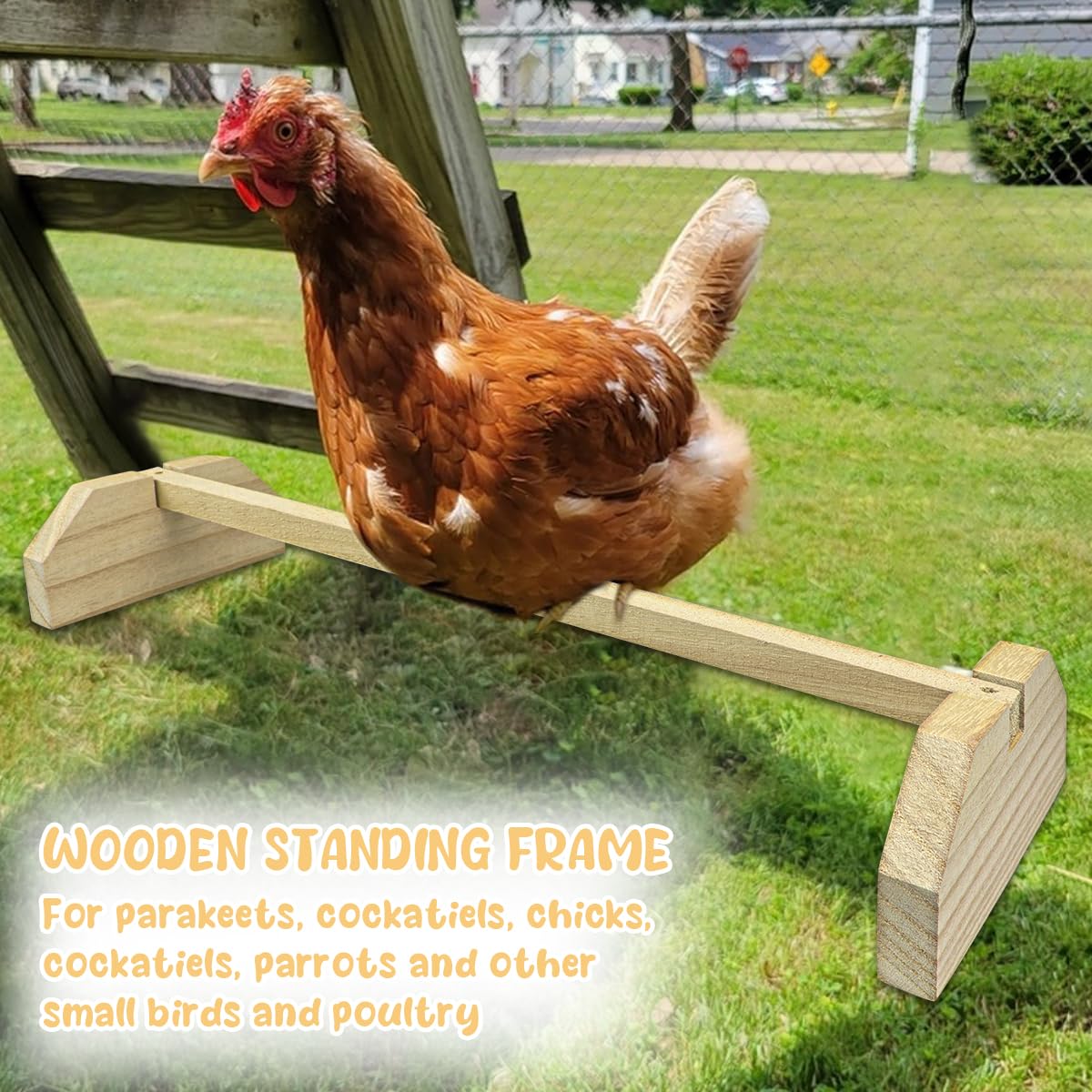 2 x hölzerne Hühnerstange für große Vögel, Babys, Küken, Dschungel, Turnhalle, Sitzstange für große Vögel, Babys, Küken, Parots