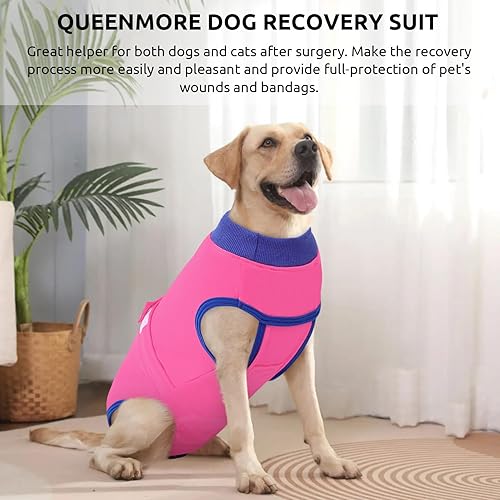 Miniatura 20 de Queenmore Traje de recuperación para perros y gatos después de la cirugía, traje de recuperación quirúrgica para perros, mameluco, antilamer