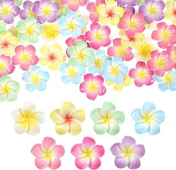 Amazon.co.jp: HAKONA プルメリア レジン 花 デコパーツ70個7色 3d