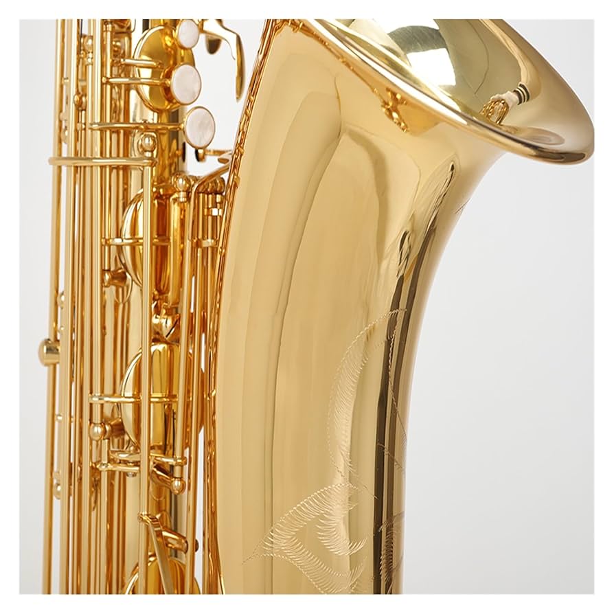 Amazon.co.jp: ユーフォニアム サックス楽器 E フラット