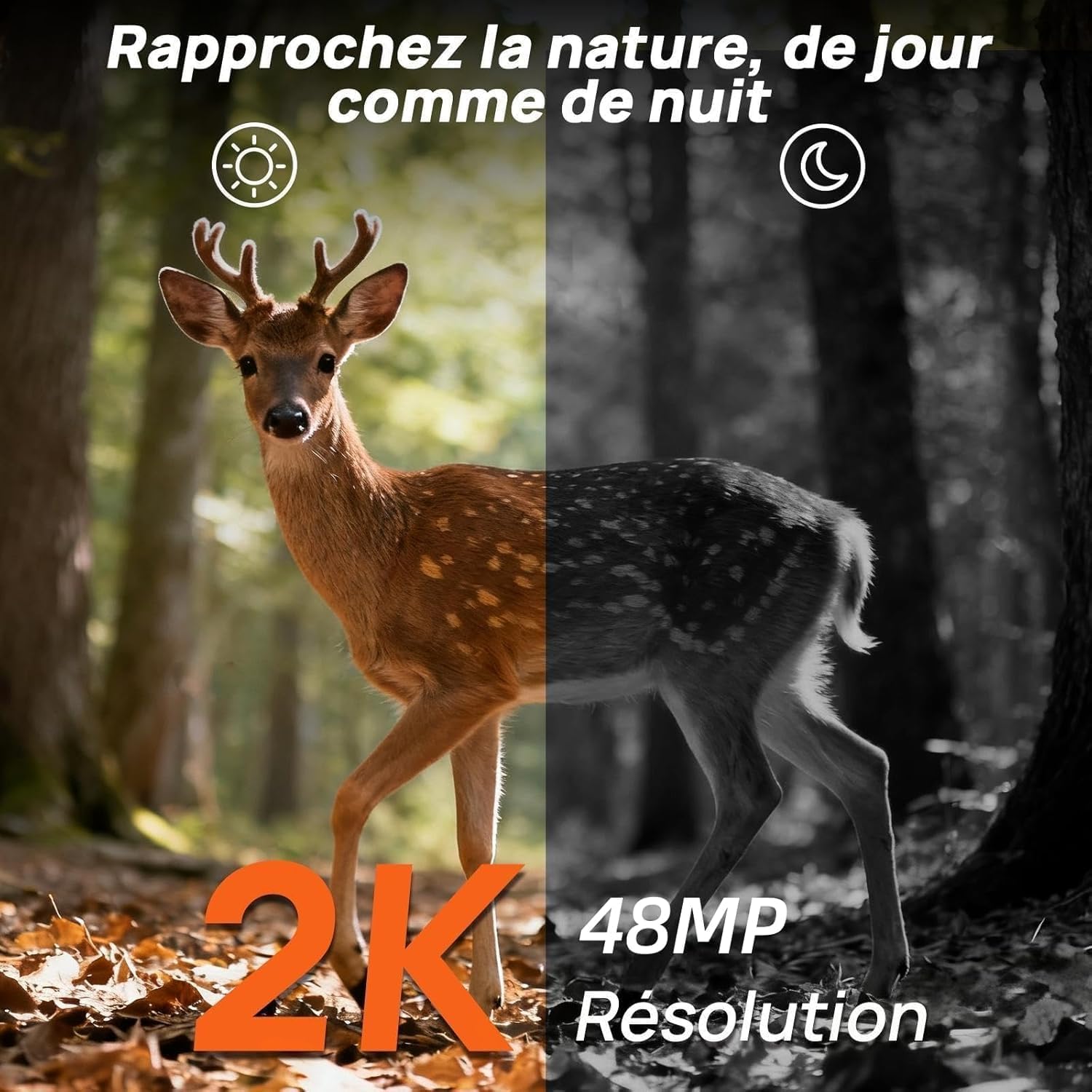 iZEEKER Caméra de Chasse 2 en 1 Cloud 4G et Standard, 2K HD 48 MP Caméra Chasse avec Vision Nocturne et Détection de Mouvement, Contrôle Application sans WiFi Etanche IP66 avec Carte SIM pour la Faune