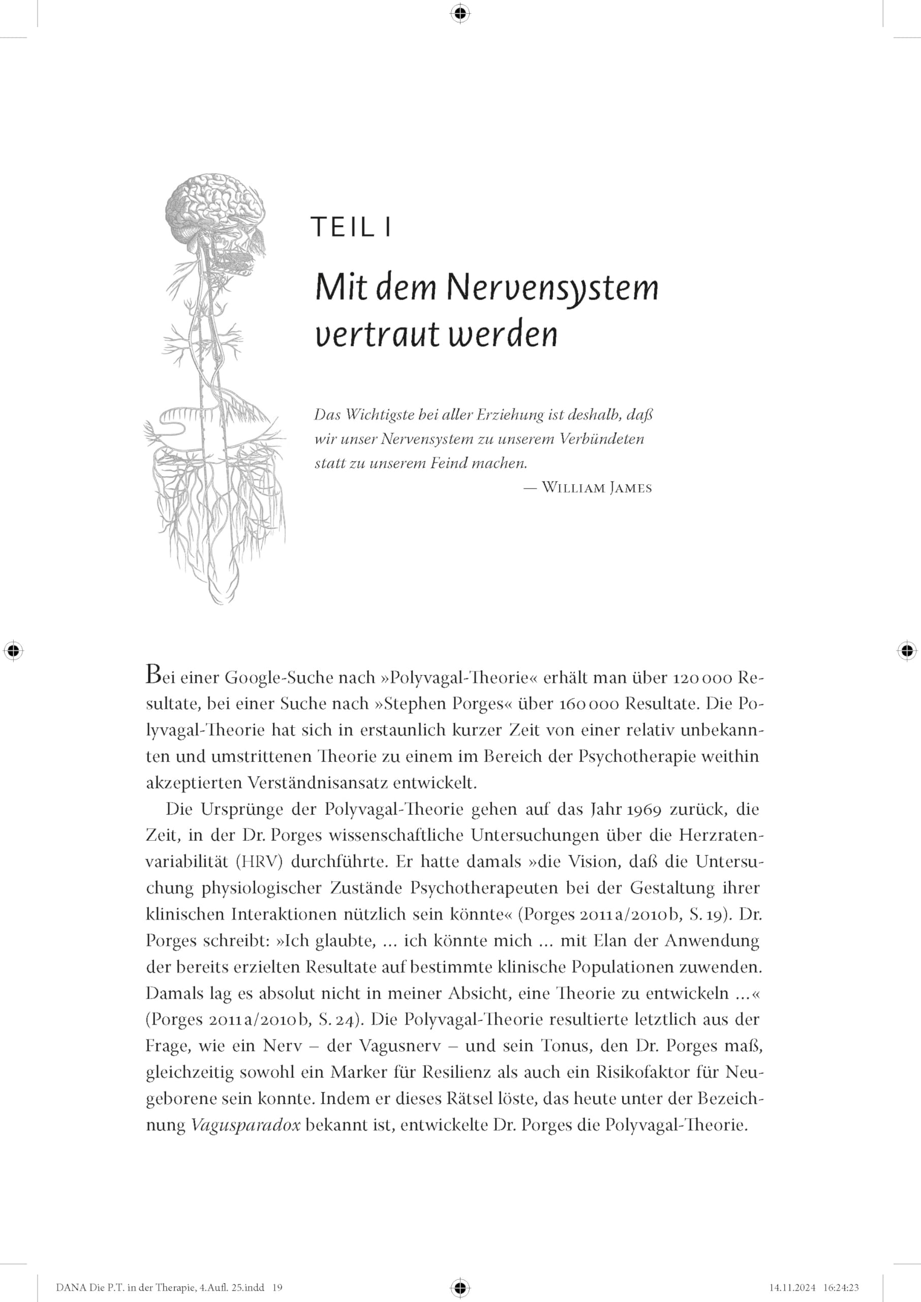 Die Polyvagal-Theorie in der Therapie: Den Rhythmus der Regulation nutzen