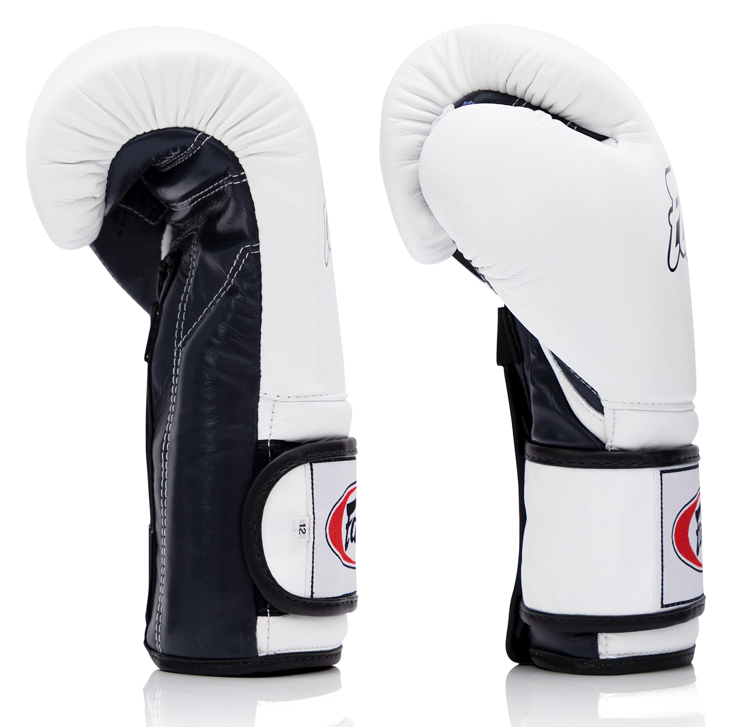 Buy Fairtex Muay Thai Boxing Gloves BGV9 - Heavy Hitter Mexican