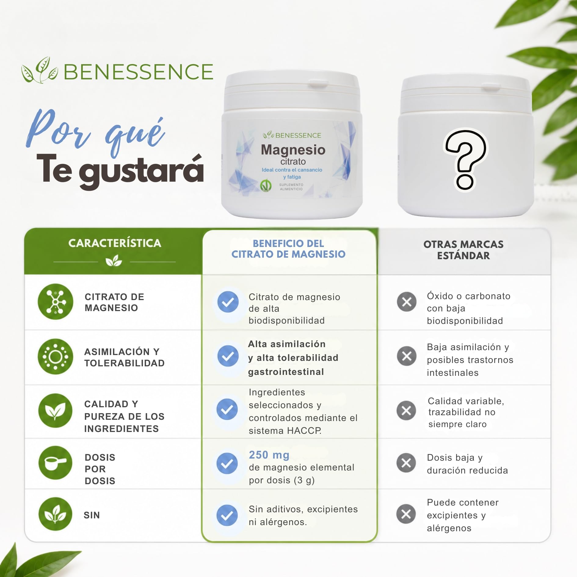 Benessence - Citrato de Magnesio en polvo soluble - Complemento alimenticio - 2 x 500 g