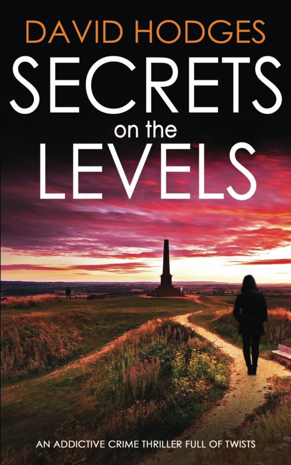 SECRETS ON THE LEVELS an addictive crime thriller full of twists (Detective Kate Hamblin Mystery)
