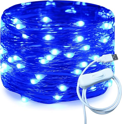 RUICHEN Guirnalda de luces USB de 33 pies, 100 luces LED con interruptor de encendidoapagado, luces de alambre de cobre impermeables para