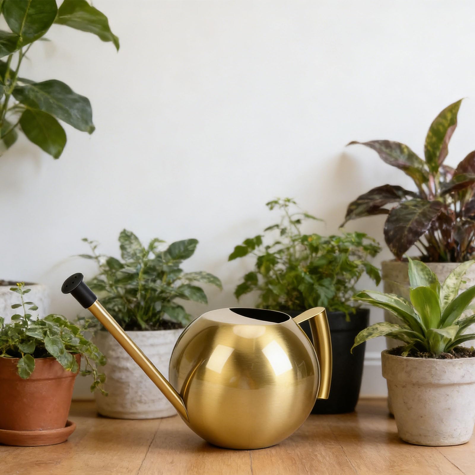 SIXRUN Gießkanne aus Edelstahl, 1000 Ml, Gießkanne für Zimmerpflanzen mit Langem Auslauf für Blumen Im Haus, Garten, Zum Aufhängen Im Topf (Antikes Gold)
