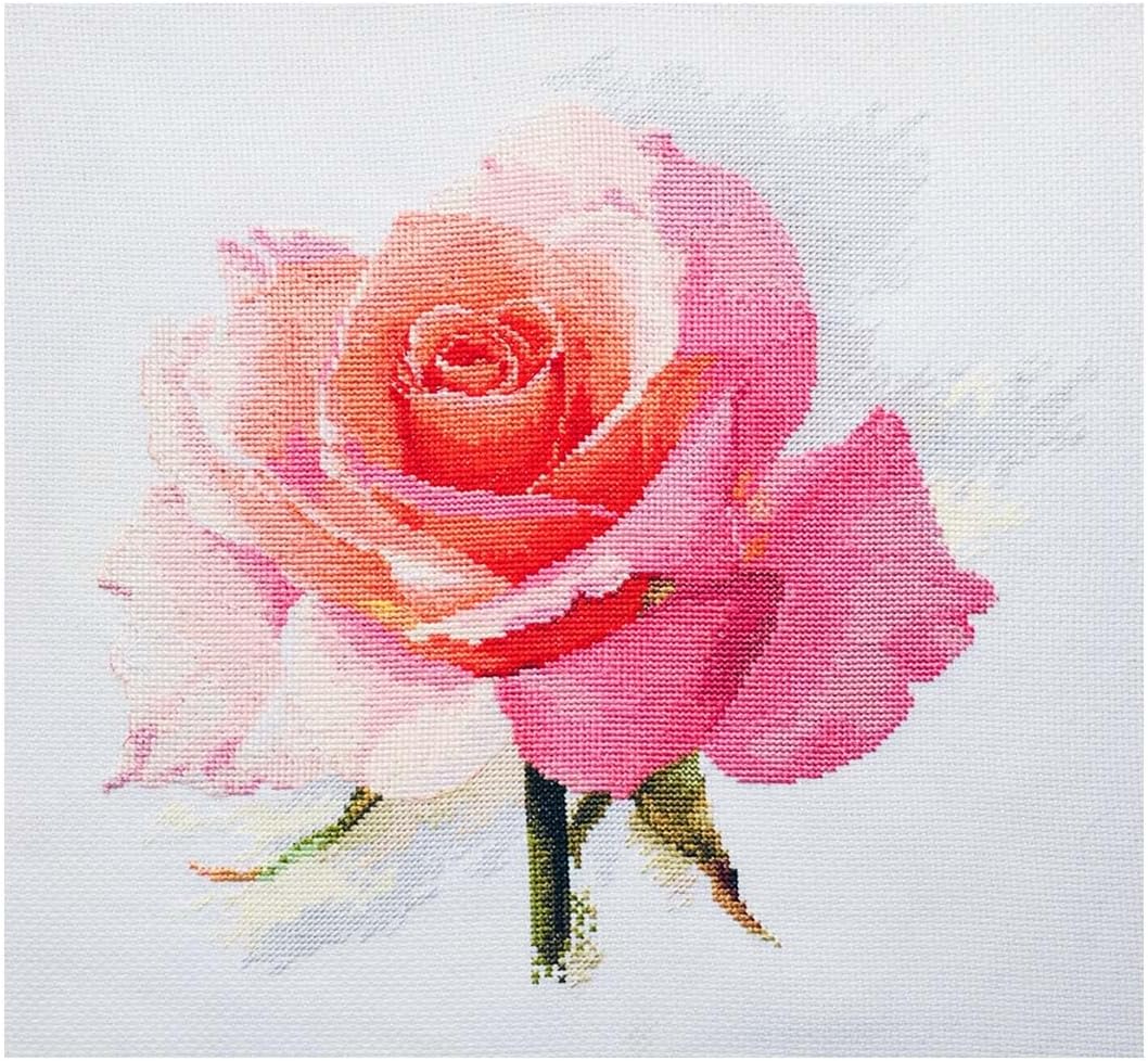 Tender Rose Cross-Stitch kit on Aida 16 Count Canvas. Soft Pink Rose. Cross Stitch kit by Alisa 2-40