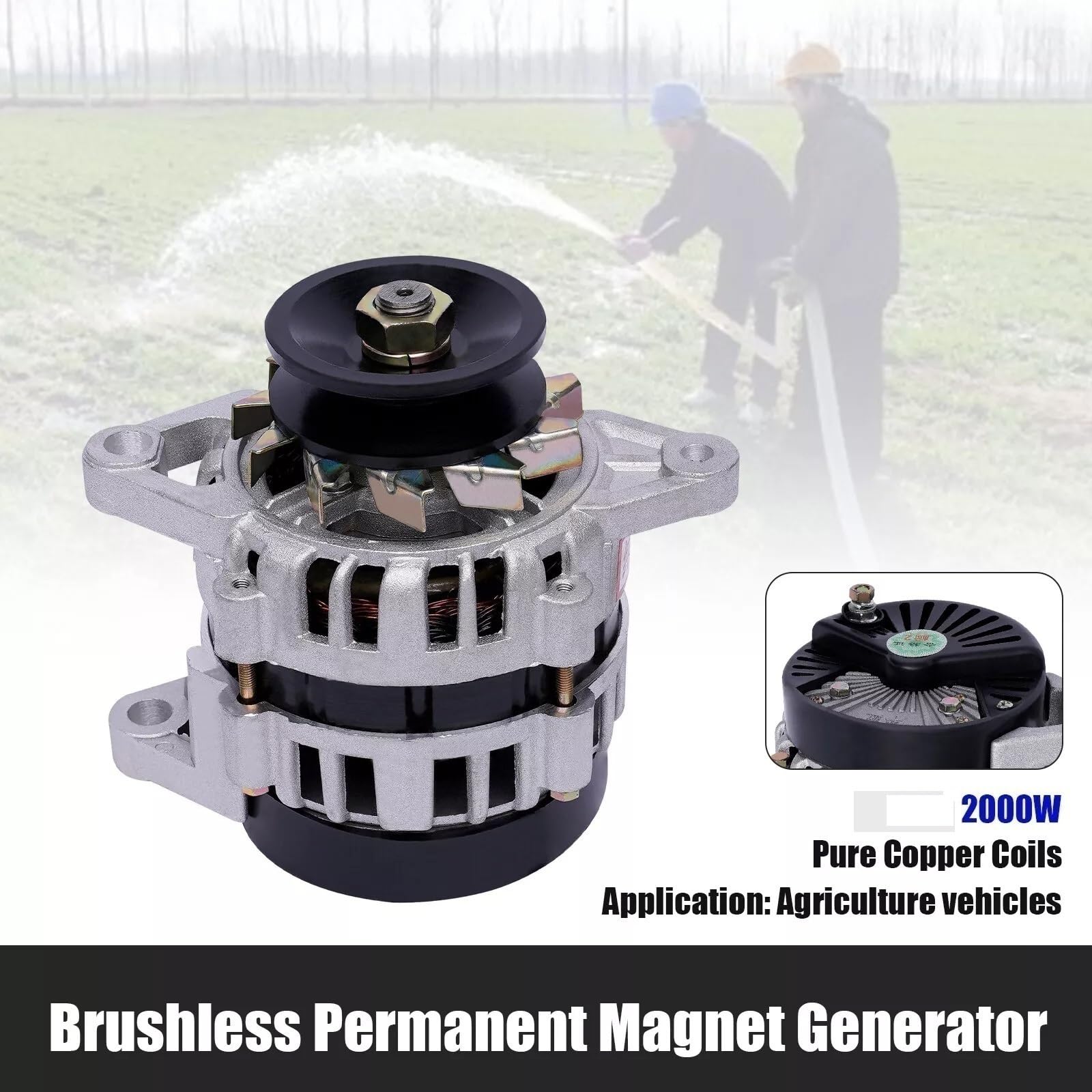 Generatore AC A Magnete Permanente Senza Spazzole 2000W 110V/220V, Alternatore A Bassa Velocità In Rame Puro Con Regolatore Di Tensione Per Casa, Esterno, Eolico O Idrico(220V)