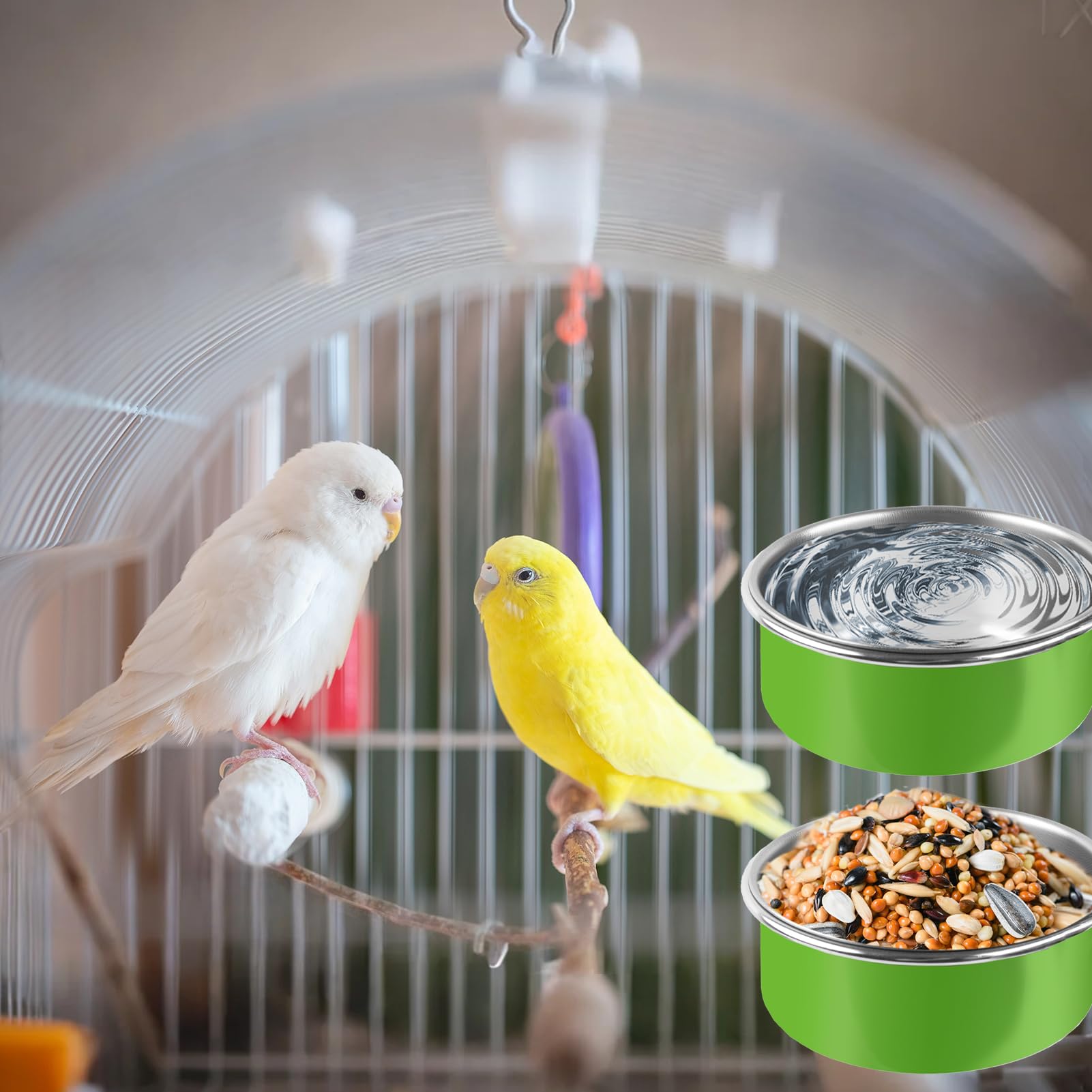 2 Pcs Stainless Steel Bird Bowls, Small Bird Food Dishes for Cage, Parrot Cage Feeder with Clamp Holder for Parakeet/Cockatiels/Conure/Budgies/Ferret/Small Animal - image 6