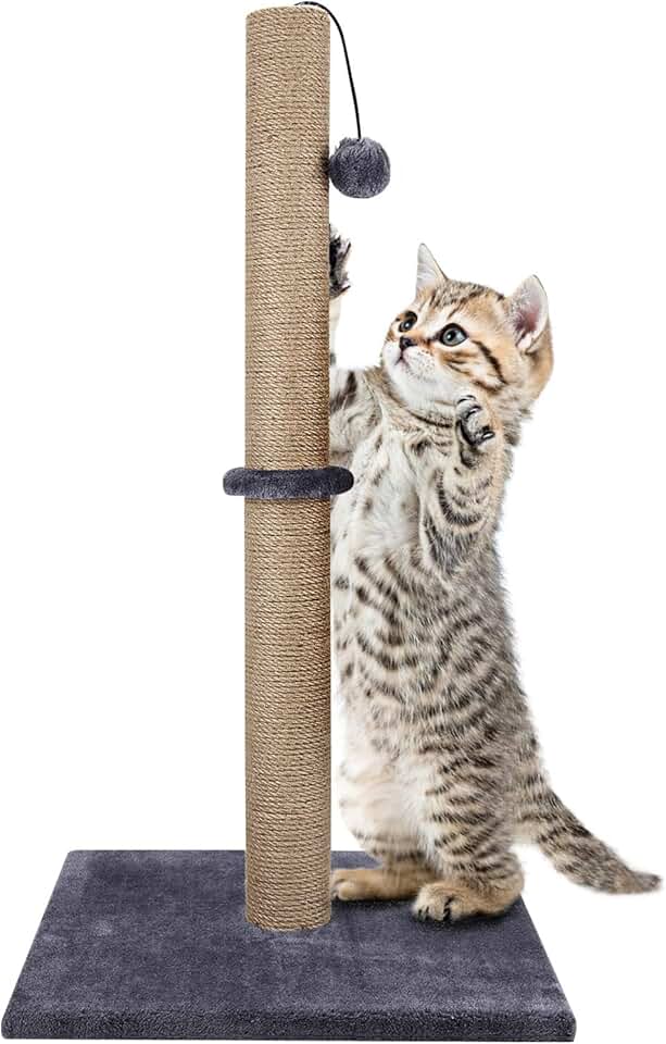 Amazon.co.uk Cat Scratching Posts Cat Scratching Posts / Cat Beds, Bedding & Furniture Pet