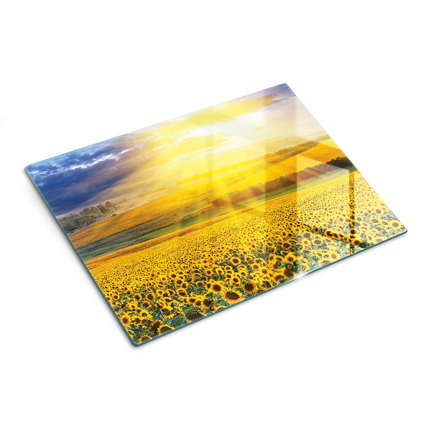 Cristal para cortar en la cocina 40x30 cm Campo de girasoles